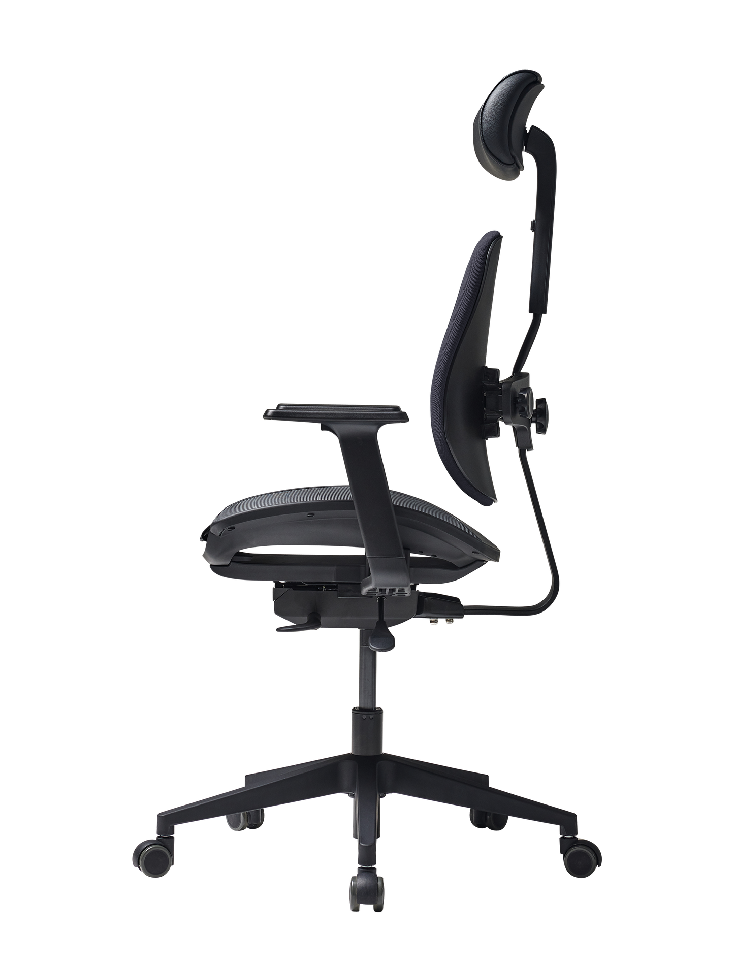 Duorest Gold D2500G-DAM