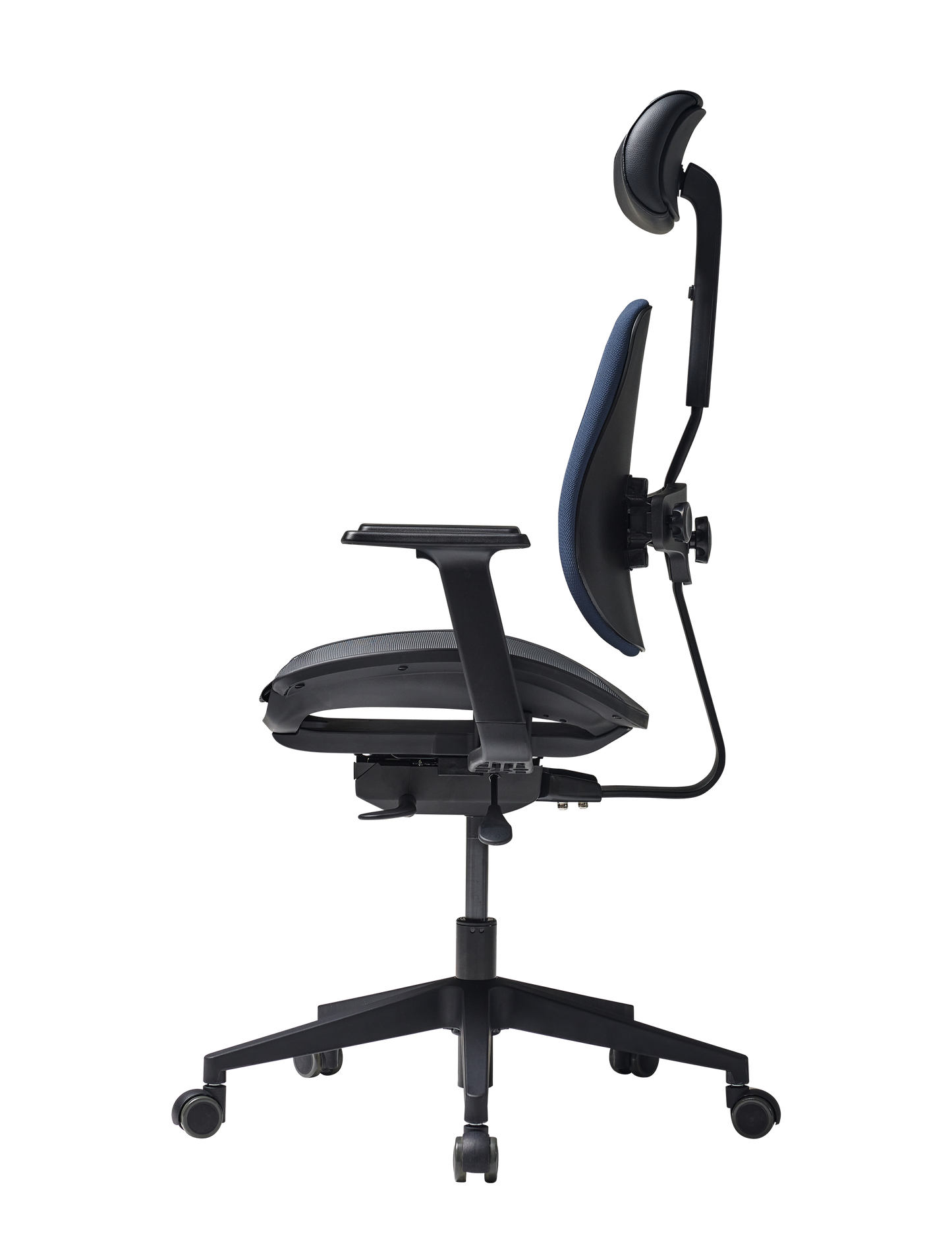 Duorest Gold D2500G-DAM